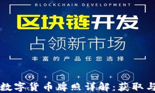 
爱沙尼亚数字货币牌照详解：获取与合规指南