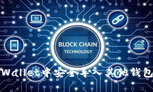 如何在TPWallet中安全导入其他钱包的助记词