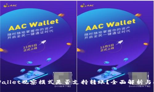 TPWallet观察模式是否支持转账？全面解析与指南