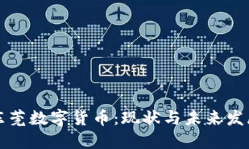 东莞数字货币：现状与未来发展