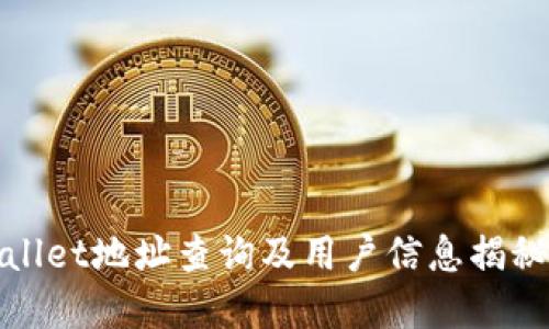 tpwallet地址查询及用户信息揭秘指南