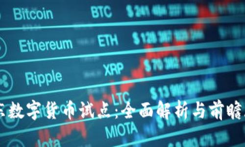 广东数字货币试点：全面解析与前瞻展望