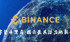 未来数字货币黑马：揭示
