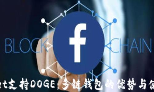 
tpwallet支持DOGE：多链钱包的优势与使用指南