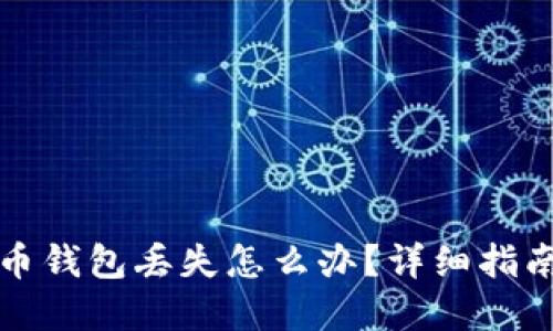 央行数字货币钱包丢失怎么办？详细指南与解决方案