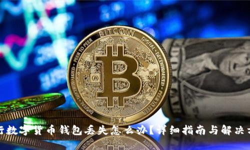 央行数字货币钱包丢失怎么办？详细指南与解决方案
