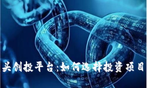 数字货币龙头创投平台：如何选择投资项目与管理风险