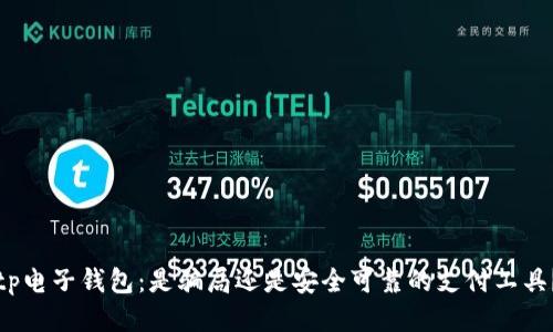 tp电子钱包：是骗局还是安全可靠的支付工具？