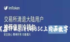 如何在TPWallet的BSC上购买数