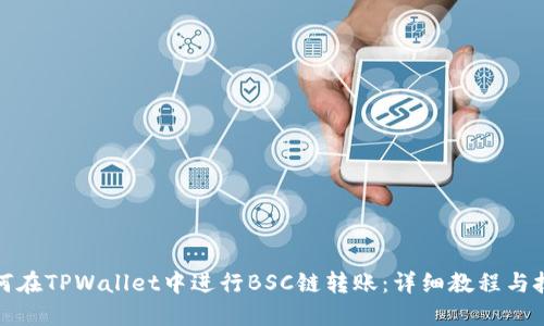 如何在TPWallet中进行BSC链转账：详细教程与技巧