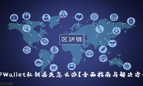 TPWallet私钥丢失怎么办？全面指南与解决方案