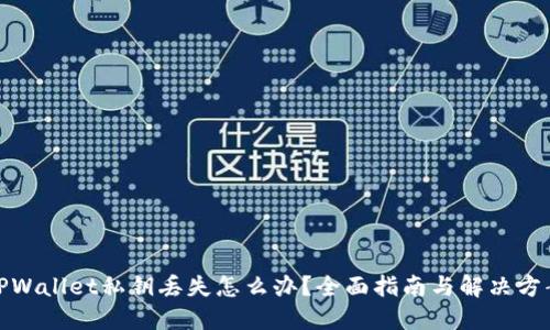 TPWallet私钥丢失怎么办？全面指南与解决方案