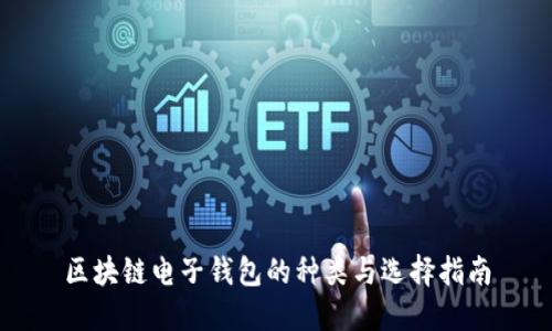 区块链电子钱包的种类与选择指南