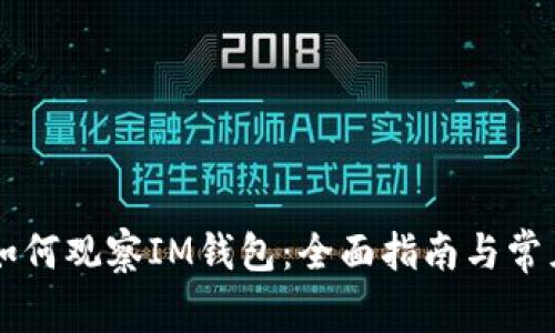 TPWallet如何观察IM钱包：全面指南与常见问题解答