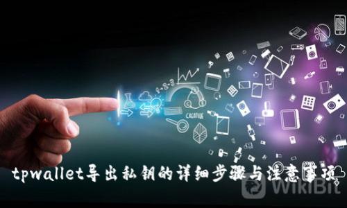 tpwallet导出私钥的详细步骤与注意事项