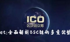 TPWallet：全面解析BSC链的多