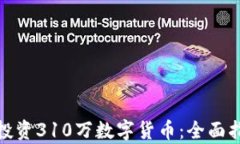 如何有效投资310万数字货
