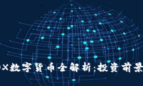 2023年欧OX数字货币全解析：投资前景与风险分析