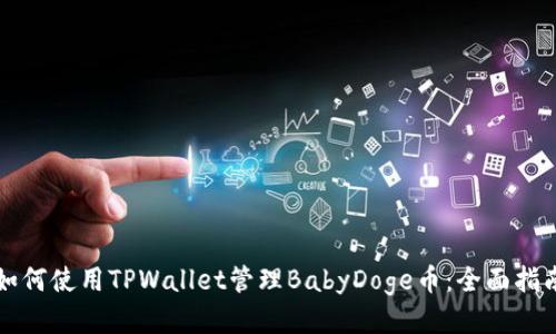 如何使用TPWallet管理BabyDoge币：全面指南