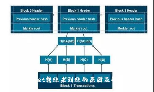 TPWallet转账未到账的原因及解决方案
