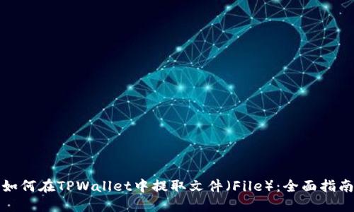 如何在TPWallet中提取文件（File）：全面指南