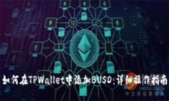 如何在TPWallet中添加BUSD：