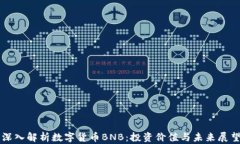 深入解析数字货币BNB：投