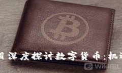 台湾节目深度探讨数字货
