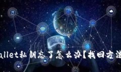 TPWallet私钥忘了怎么办？找