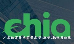 广东数字货币前景展望：