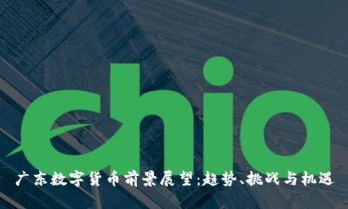 广东数字货币前景展望：趋势、挑战与机遇