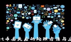 tpwallet币丢失后的处理方法