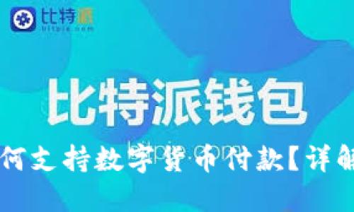 苹果手机如何支持数字货币付款？详解与实用指南
