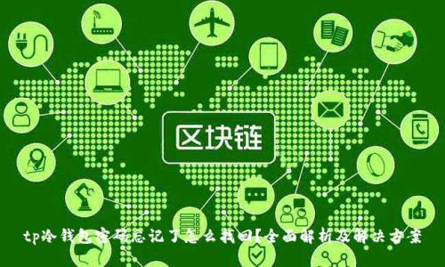 tp冷钱包密码忘记了怎么找回？全面解析及解决方案