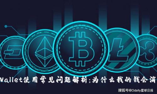 TPWallet使用常见问题解析：为什么我的钱会消失？