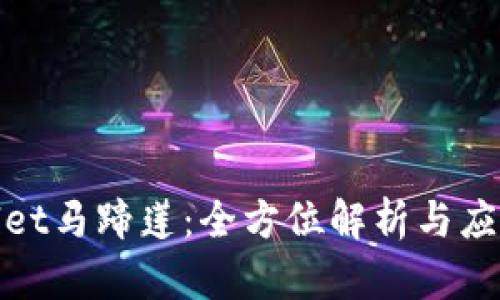 tpwallet马蹄莲：全方位解析与应用指南