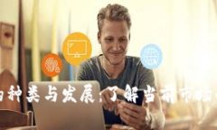 数字货币的种类与发展：
