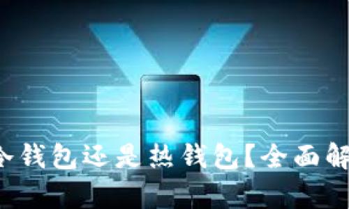  tpwallet是冷钱包还是热钱包？全面解析与用户指南