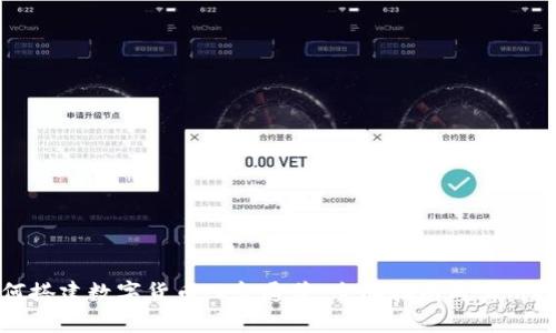 如何搭建数字货币入金通道：全面指南与实用技巧
