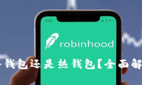 TPWallet是冷钱包还是热钱包？全面解析与使用指南