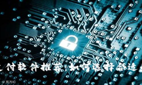 数字货币支付软件推荐：如何选择合适的支付工具