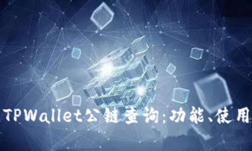 深入解析TPWallet公链查询：功能、使用及其前景