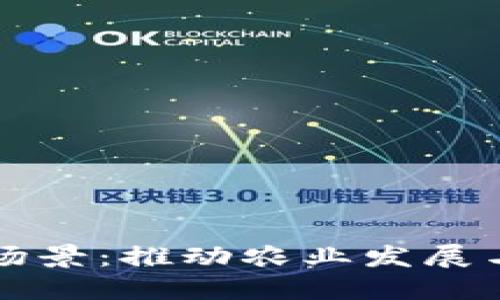 探索农村数字货币场景：推动农业发展与乡村振兴的新动力