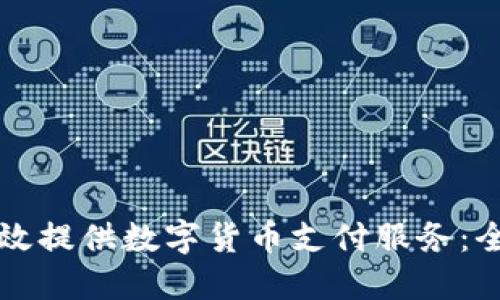 如何高效提供数字货币支付服务：全面指南