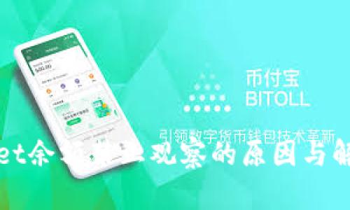 TPWallet余额禁止观察的原因与解决方案