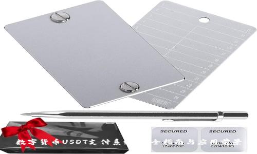 数字货币USDT支付系统：完全指南与应用前景