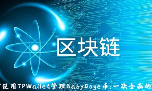 
如何使用TPWallet管理BabyDoge币：一次全面的指南