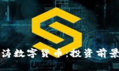 深入探讨翁涛数字货币：