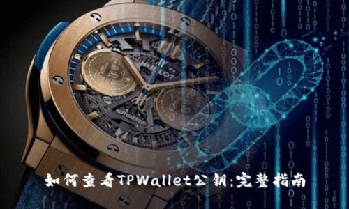 如何查看TPWallet公钥：完整指南