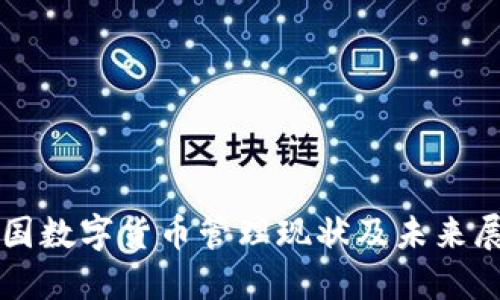 我国数字货币管理现状及未来展望